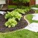 How to make your landscape look it’s best?